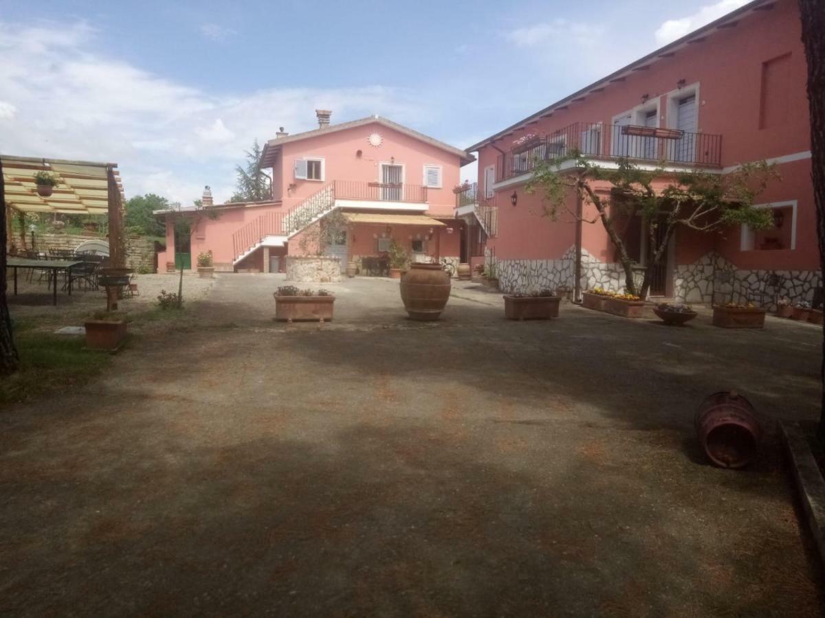 Apartmán Agriturismo Colle Al Sole Castiglione del Lago Exteriér fotografie